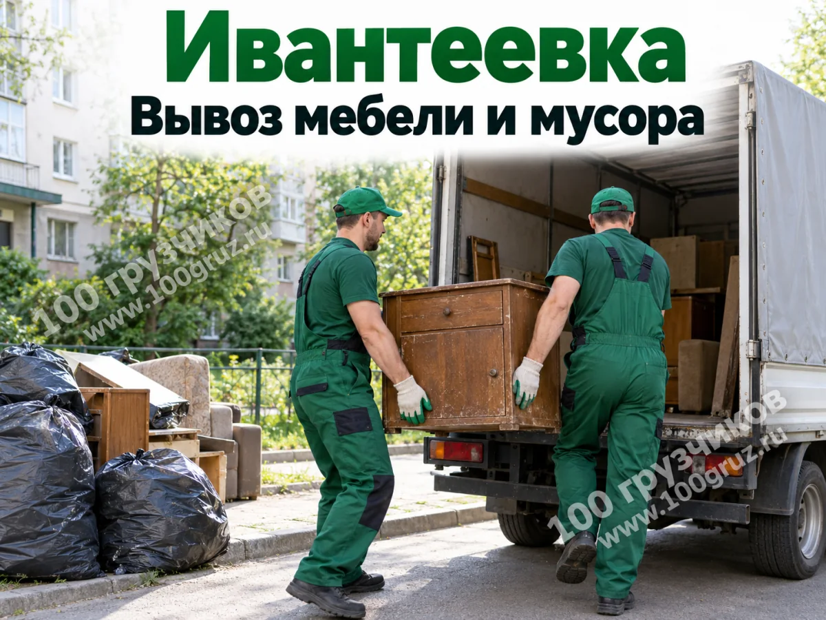 Вывоз мебели и мусора — Ивантеевка: грузчики загружают старую тумбу в машину