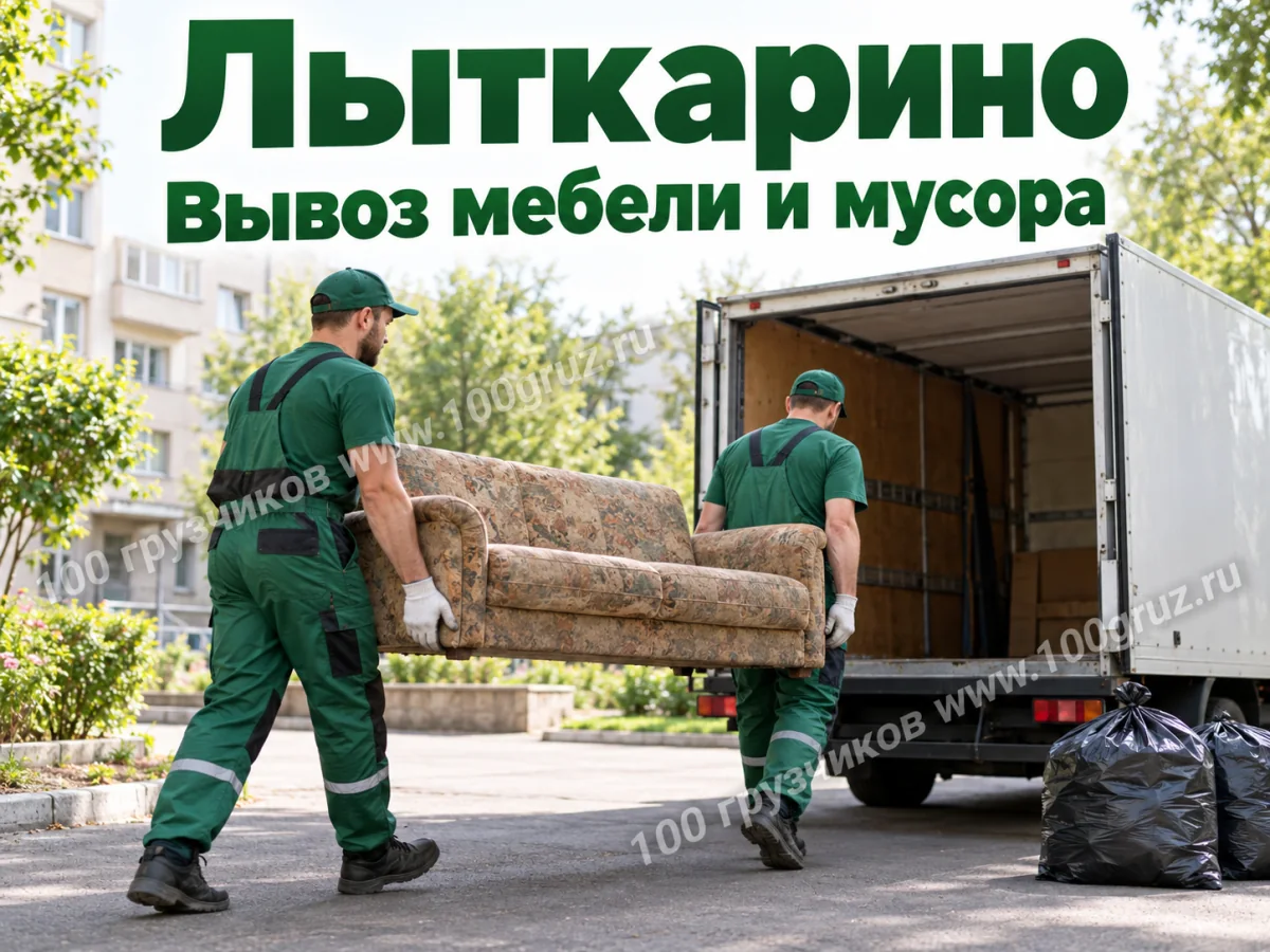 Вывоз мебели и мусора — Лыткарино: грузчики переносят старый диван к грузовой машине